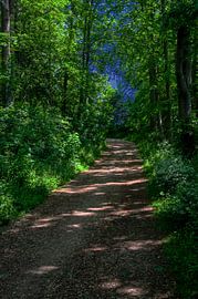 The walk by Photoart-Naegele