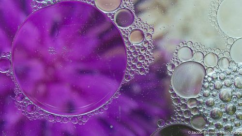 Circles