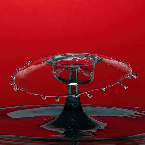 Splash en forme de champignon par Anne Ponsen