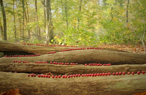 En route vers notre taverne