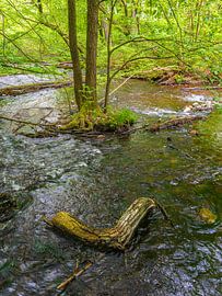 Landschap in de Mistdoorbraakvallei tussen Serrahn en Kuchelmi