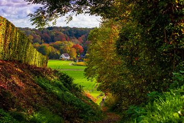 couleurs chaudes de l'automne à maastricht avec vue sur pietersberg avec les vignes de la ferme de a sur Kim Willems