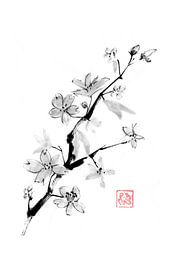 cherry blossom branch by Péchane Sumie