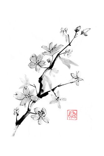 Sakura-Zweig