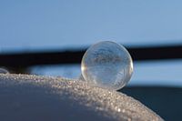 Frozen bubble on a layer of snow