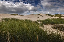 Dunes by Thomas Heitz