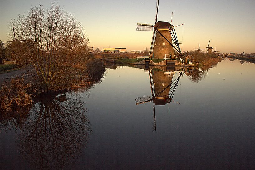 Wind mills by Francisco de Almeida