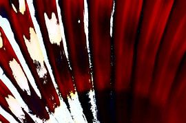 Shell in Red 2 by De Rover