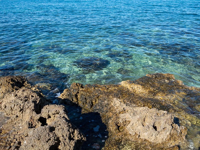 Blaues Meerwasser mit Riff an der Adria in Kroatien von Animaflora PicsStock