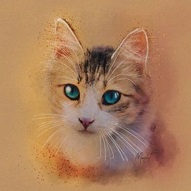 Kätzchen blaue Augen von Plus Passie