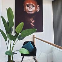 Kundenfoto: Baby Langur Affe von Patrick van Bakkum, als art frame