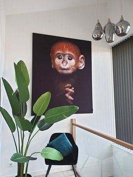 Kundenfoto: Baby Langur Affe von Patrick van Bakkum