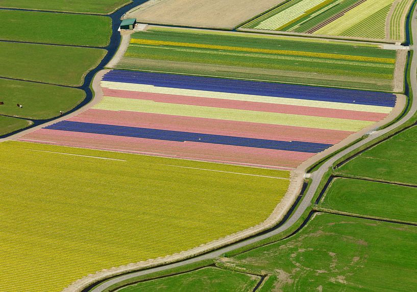 Zwiebelregion mit bunten Feldern von Sky Pictures Fotografie