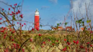 Stimmungsvoller Blick auf den Texel-Leuchtturm durch rote Beeren