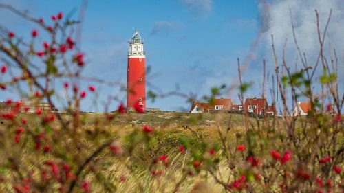 Sfeervol doorkijkje vuurtoren Texel door rode bessen