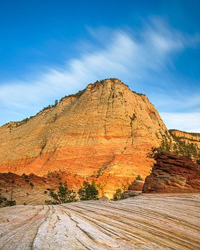 Checkerboard Mesa, Zion National Park, Utah