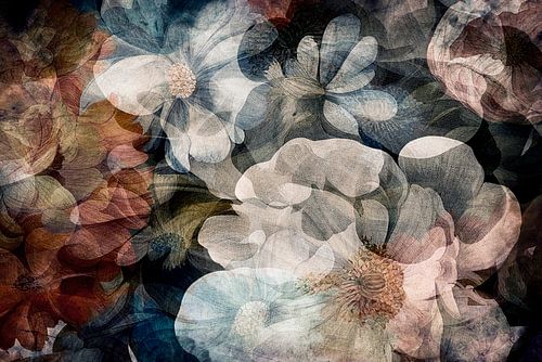 Fleurs d'automne