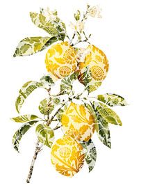 Fruits Artistiques II by Marja van den Hurk