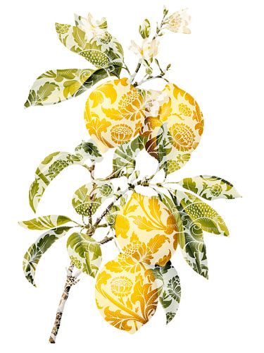 Fruits Artistiques II van Marja van den Hurk