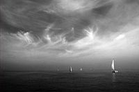 Segeln auf der Oosterschelde