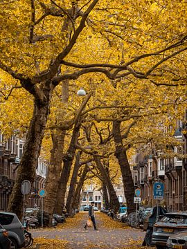 Lomanstraat in Herfst #4 van Roger Janssen
