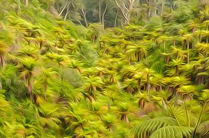 Tree ferns van Richard Wareham