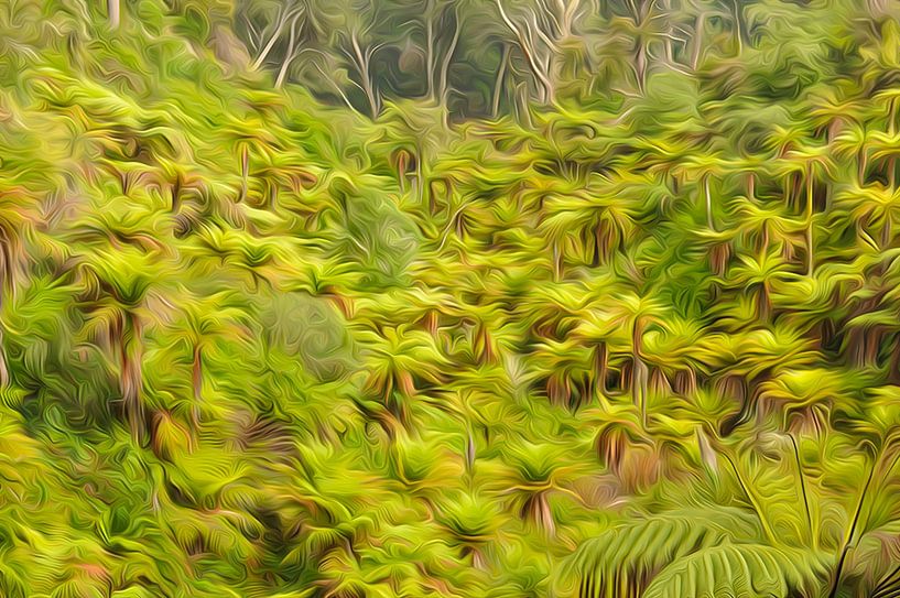 Tree ferns by Richard Wareham