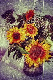 Sonnenblumen von Truckpowerr