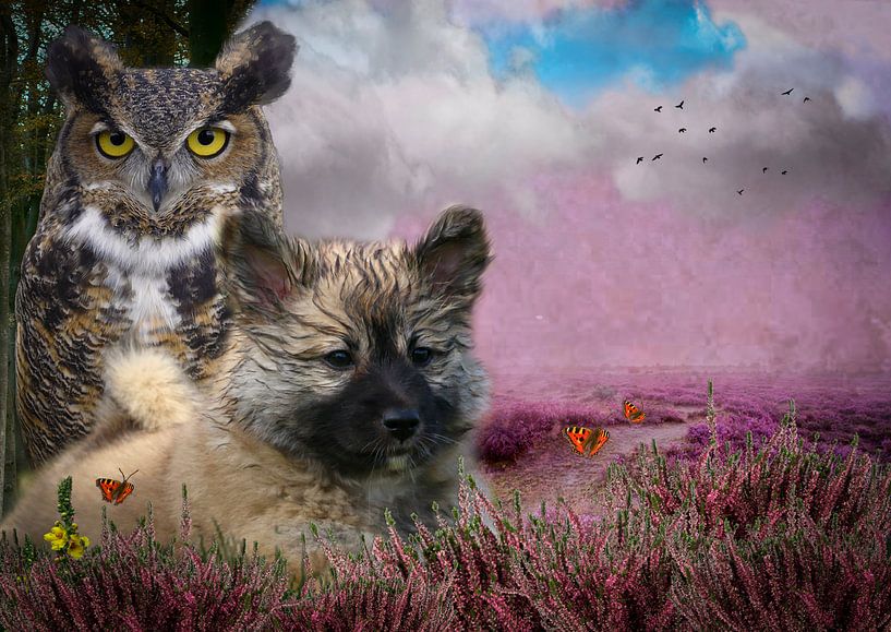 Dream photo Elska by Astrid Ingrid Wevers