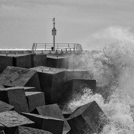 Storm in Harbour by Dirk van der Plas