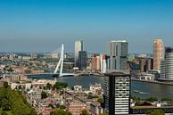 Erasmusbrug Rotterdam vanaf de Euromast. van Brian Morgan thumbnail