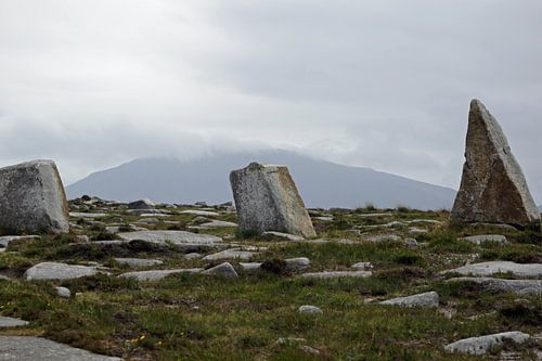Deirbhiles Twist Ierland