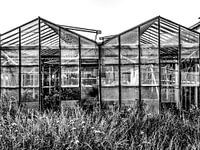 The old department store in black and white.