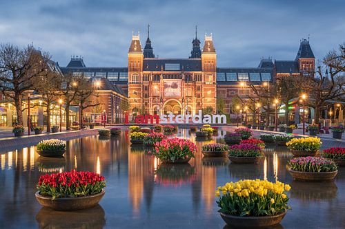 Rijksmuseum en tulpen