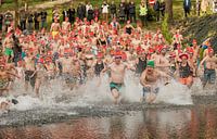 Nieuwjaarsduik Brunssum 2016 van John Kreukniet thumbnail