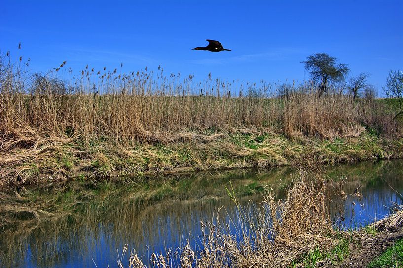Lippe panorama 2 van Edgar Schermaul