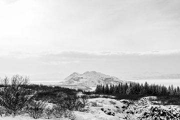 Winterse Stilte Monochroom Landschap van Femke Ketelaar