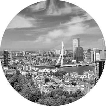 Uniek Rotterdams Panorama vanaf de Euromast | Monochroom