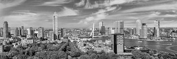 Uniek Rotterdams Panorama vanaf de Euromast | Monochroom van Melanie Viola