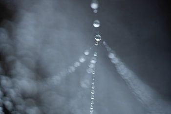 Collier goutte d'eau