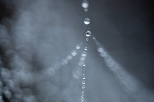 Collier goutte d'eau