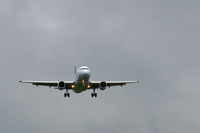 Landendes Flugzeug von Tom Van Dyck