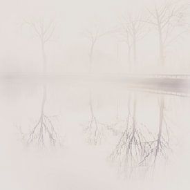 Spiegelung von Bäumen im Nebel von Rik Verslype