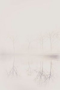 Reflectie van bomen in de mist van Rik Verslype