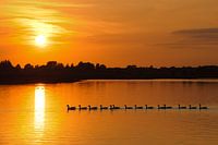 Sunset on the river