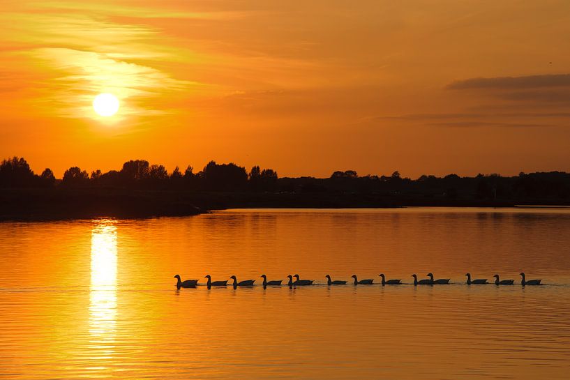 Sonnenuntergang am Fluss von Dirk Verwoerd