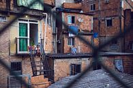 Favela Rio de Janeiro van Merijn Geurts thumbnail