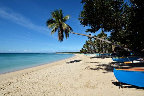 Pagudpud, tussen zee en majestueuze palmbomen