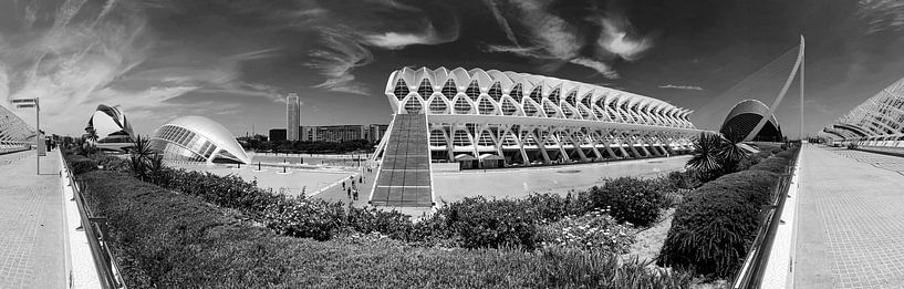 Valencia - Ciudad de las Artes y las Ciencias van Frank Herrmann