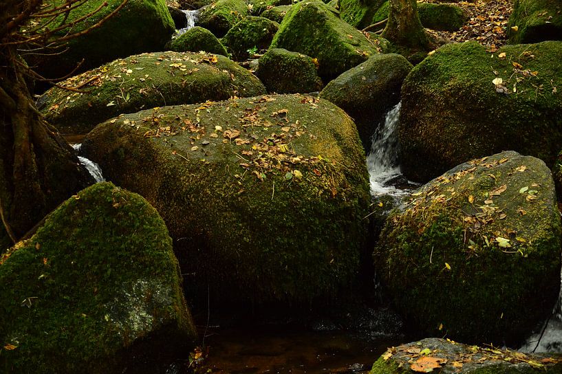 Mountain stream black forest 1.6 by Ingo Laue